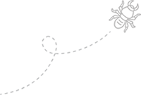 Crawling Bug