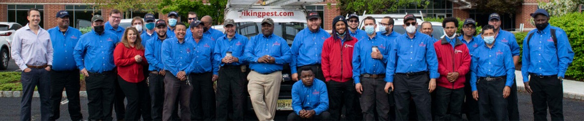 Viking Technicians